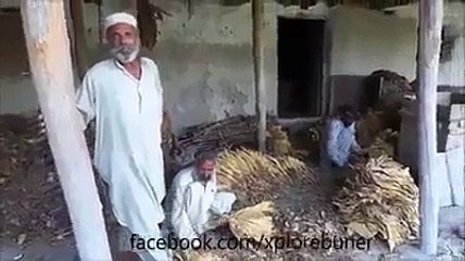 Pashto Funny Pathan Interview - Must watch Funny Video