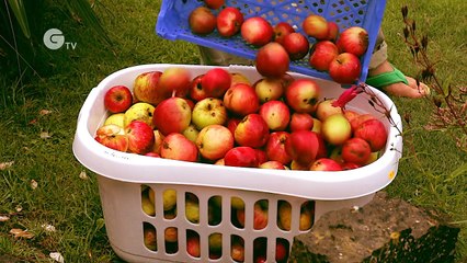 How to Make 100% Natural Apple Juice