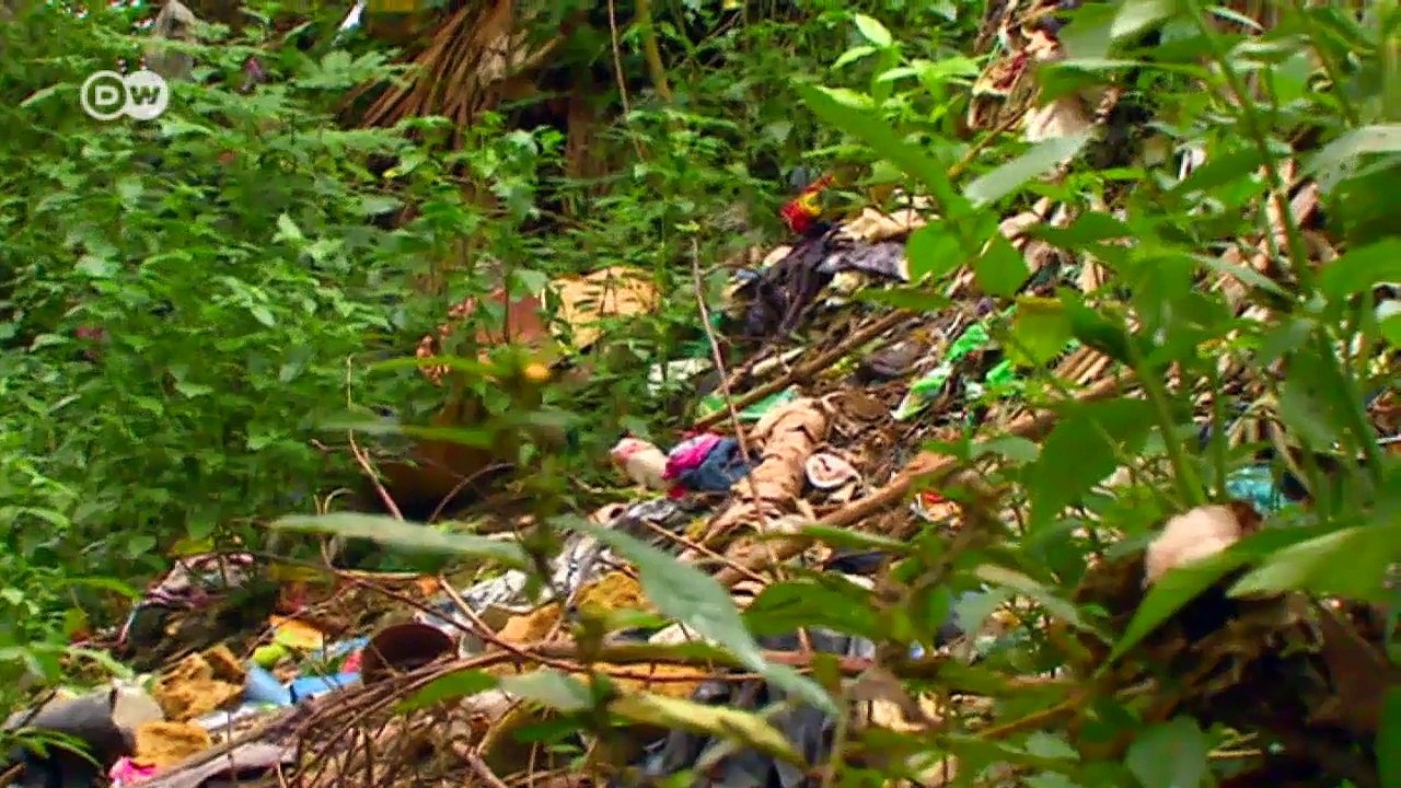 Tanz mit dem Jaguar | Wissen & Umwelt