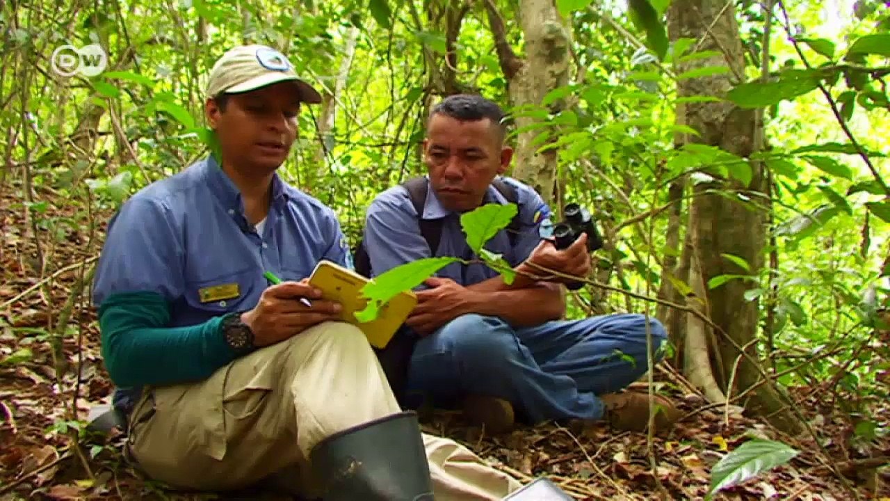 Kolumbien: Schutz des Tropenwaldes | Global 3000