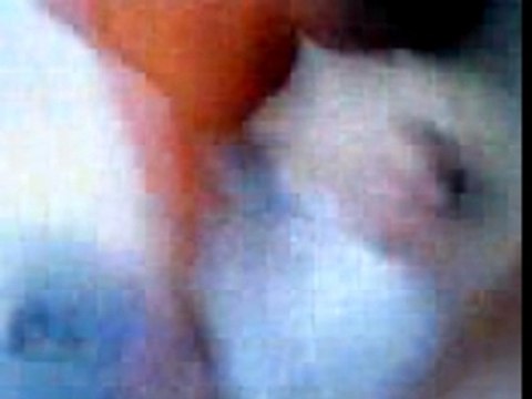 josué fausse baston