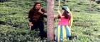 Mera Dil Bhi Kitna Pagal Hai (Eng Sub) [Full Video Song] (HD) With Lyrics - Saajan