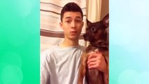 Best Dog Vines Greatest Hits Compilation / 30  Funny Dog Vines