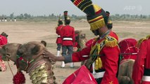 Un orchestre pakistanais à dos de chameau rêve de grandeurs
