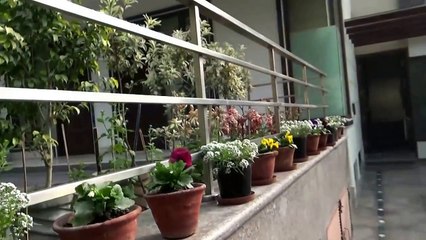 Luxury Guest House in Gurgaon near Fortis Hospital - Perch Arbor Suites