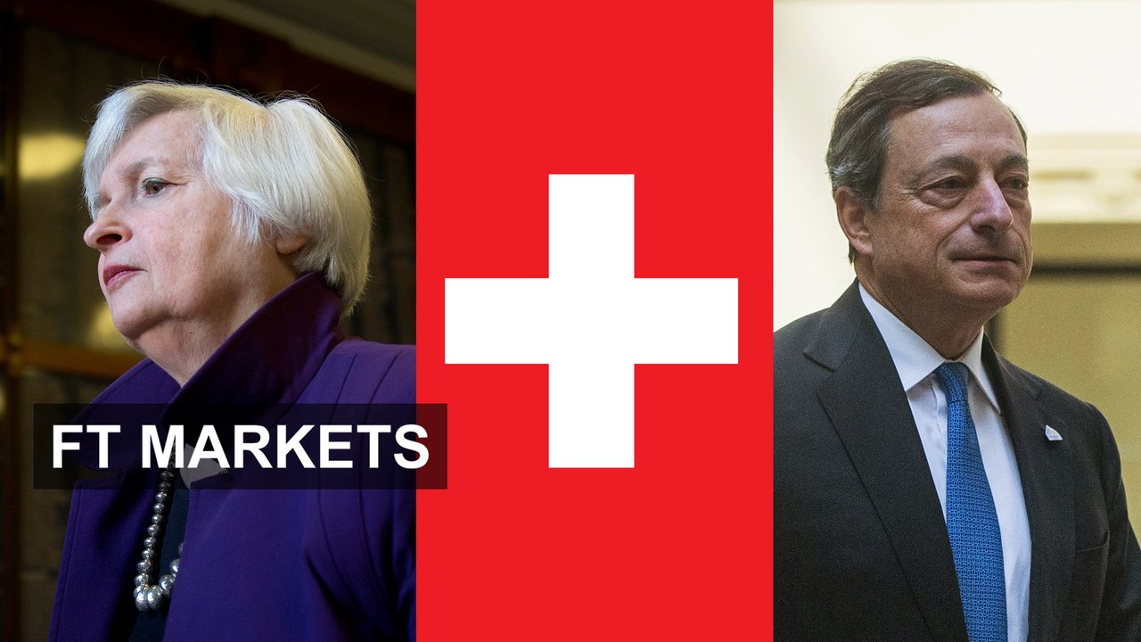Swissie in the middle