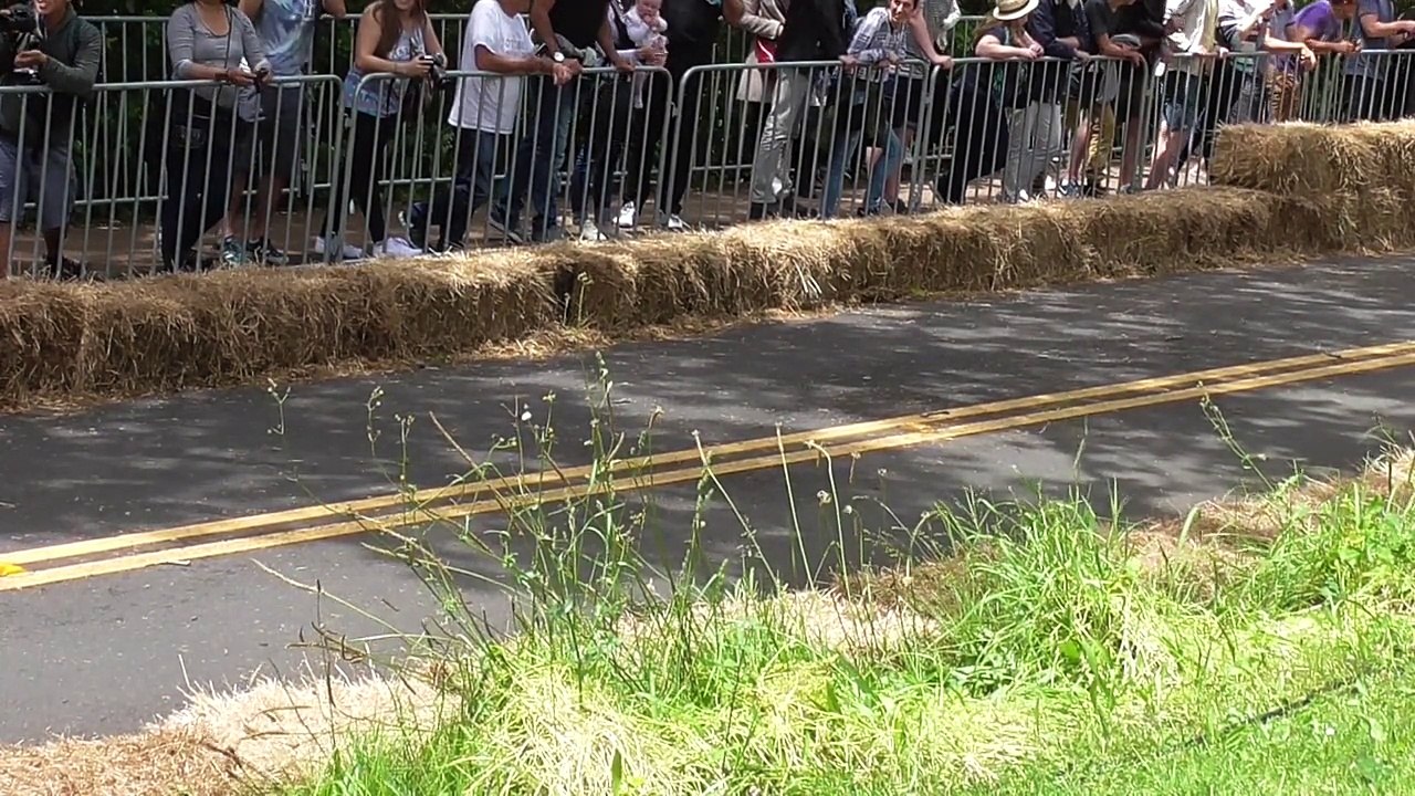 Red Bull Trolley Grand Prix 2015.