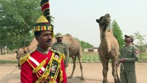 Thirsty for fame: Pakistan's camel-mounted military bagpipe band