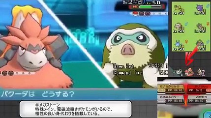 【ポケモンORAS】最強のメガ進化相棒を探す
