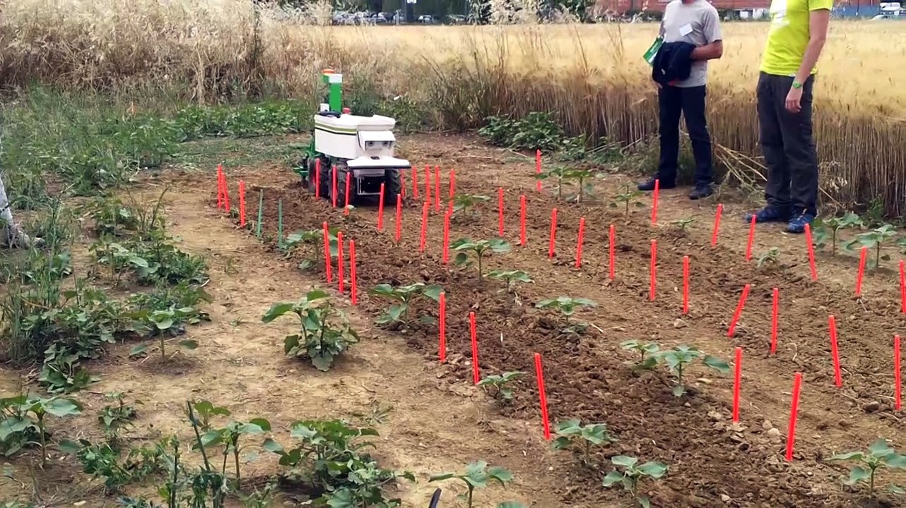Robot OZ