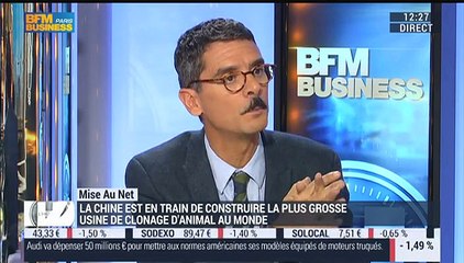 La mise au net: La Chine envisage de construire le plus grand laboratoire de clonage animal au monde – 24/11