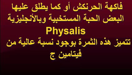 فوائد الحرنكش الغذائية والصحية