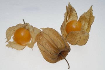 فوائد الحرنكش لصحة العين