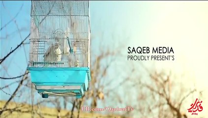 Naweed Payman - Khoshonat