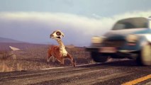 'Caminandes - Llama Drama' by Pablo Vazquez _ Disney Favorite , hd online free Full 2016