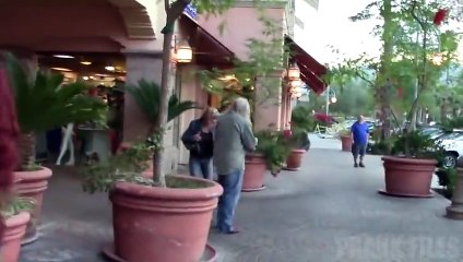 Epic Snake Chase Prank!!