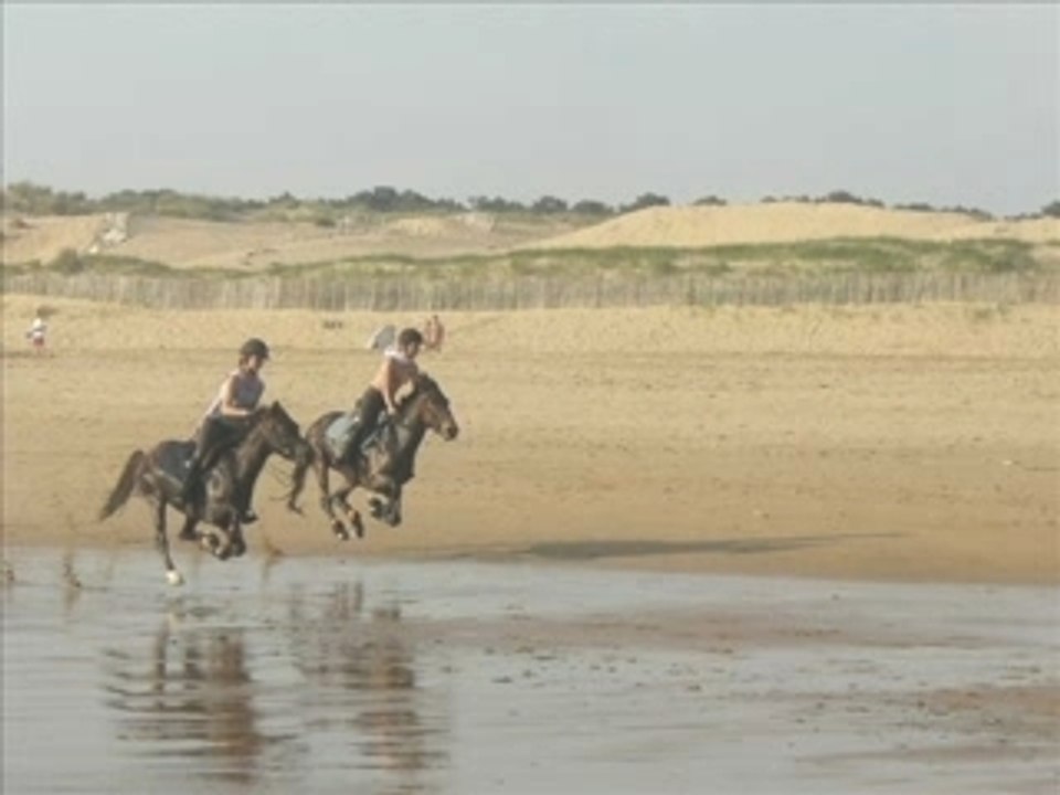 SansTitre_0002