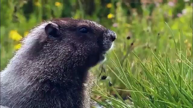 xsplit-broadcaster Live auto-rec test (AUTO-RECORD) (2015-11-24 14:47:17 - 2015-11-24 15:15:19)