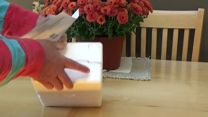 Aromazzar Essential Oil Diffuser Unpacking