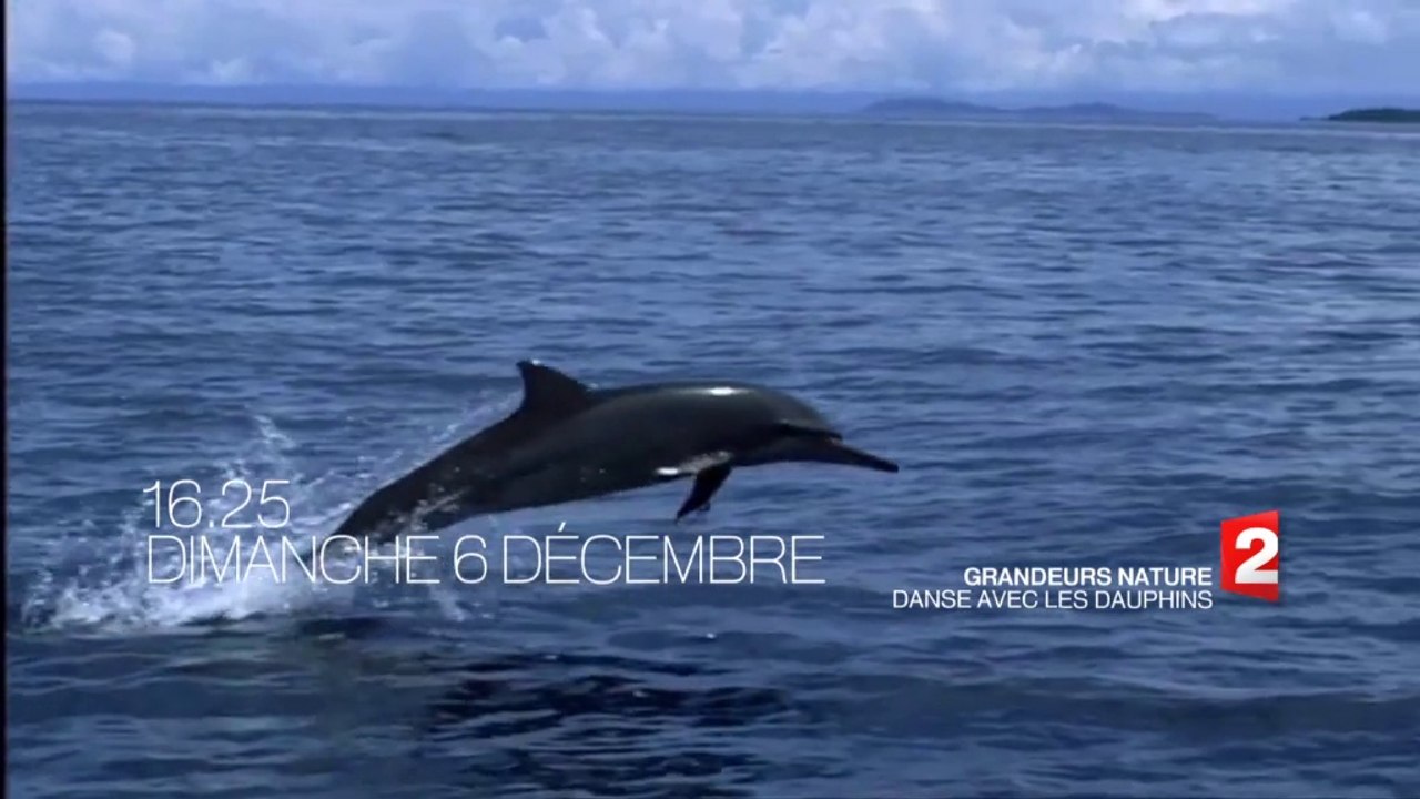 Nos amis les animaux