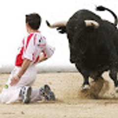 Bull Fighting Accidents 18+