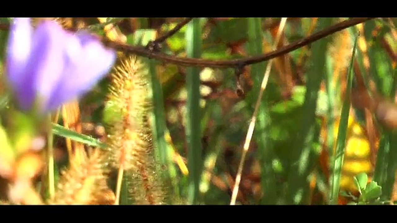 Agri Nature & Forêt Vic-en-Bigorre 100% Nature
