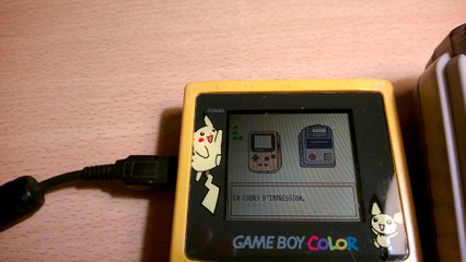 Pokémon Trading Card Game - Utilisation du GameBoy Printer