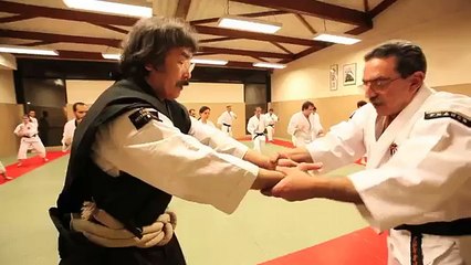 Técnicas de Shorinji Kempo