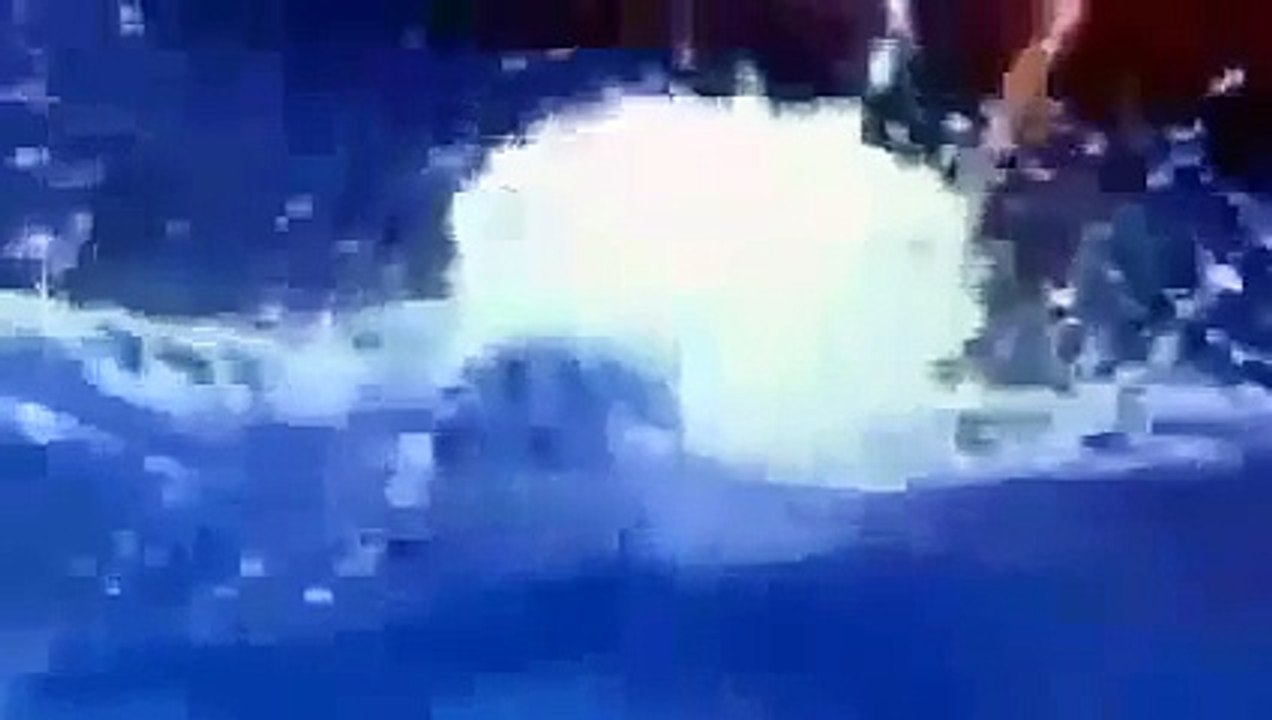 Wild , Most Aggressive Sharks in the world Great White Shark Documentary