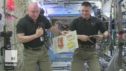 Happy Thanksgiving Earthlings: Astronauts share what they're grateful for