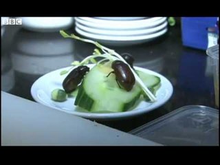 RESTORANTET NE PARIS TASHME OFROJNE NE MENU EDHE LLOJE TE NDRYSHME INSEKTESH LAJM