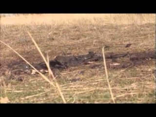 KUFOMA E DJEGUR IDENTIFIKOHET TRUPI I DJEGUR I GJETUR NE QAFE THANE LAJM