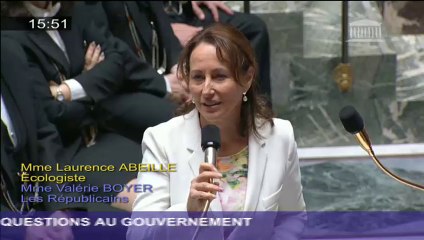 Mobilisation de la société civile lors de la COP 21 : S. Royal répond à une question au Gouvernement