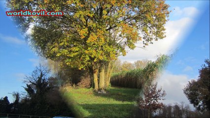 Sandyhomam,photoshowசண்டிஹோமம் 22.11.2015 ஓம் நவசக்தி நாயகி அம்பாள்