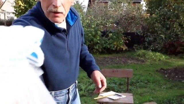 Пока не видит тёща ))))