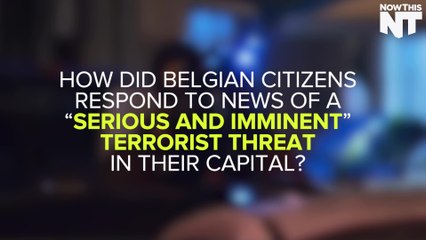 Belgians Use Cat Memes To Confuse Terrorists