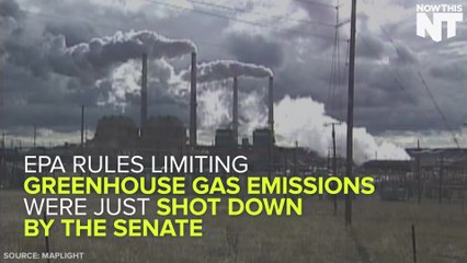 Senators Who Voted Down Emissions Rule Got Tons Of Money From The Coal Industry