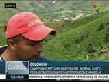 Colombia: campesinos en Argelia resisten embate de las fuerzas armadas