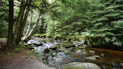 Scenes from Dolly Sods Wilderness - Campfire Breakfast music