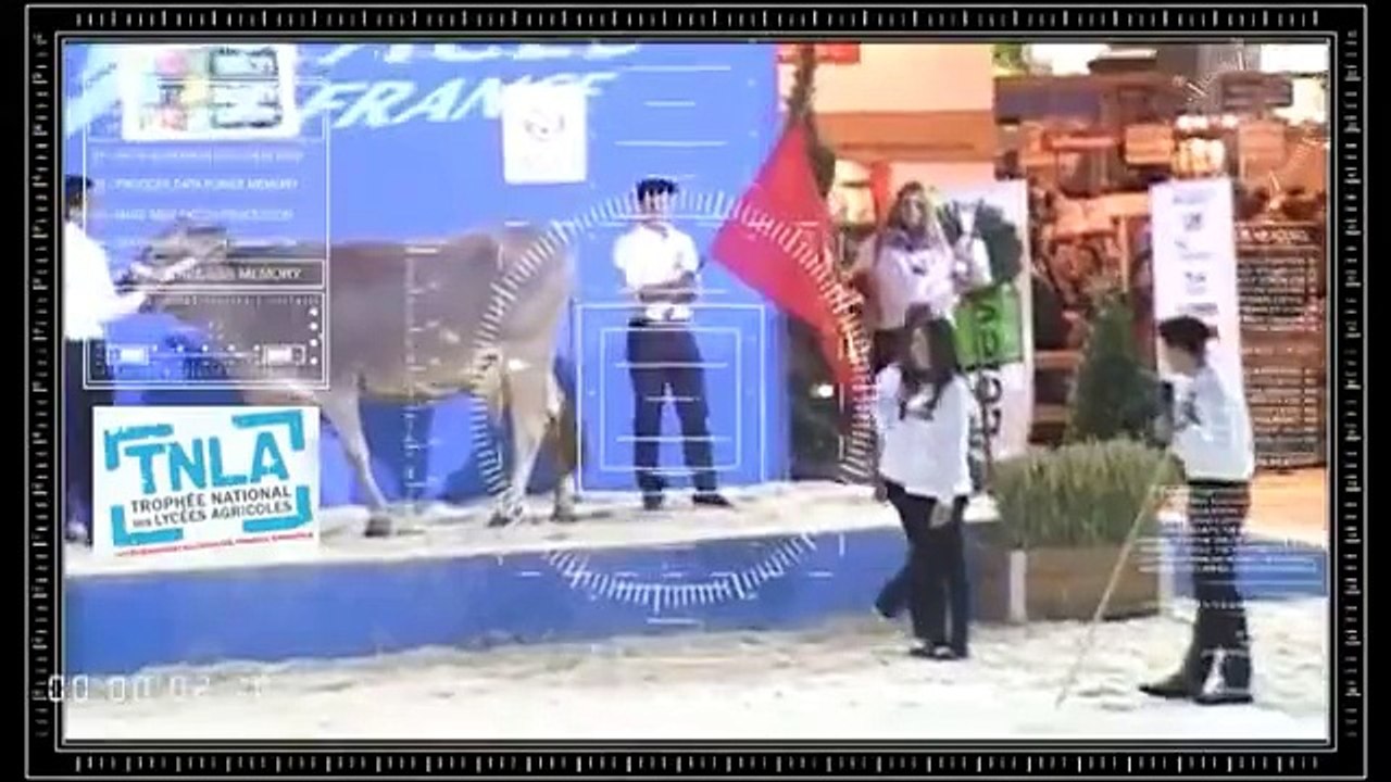 HIGHSCHOOL OF INTEREST