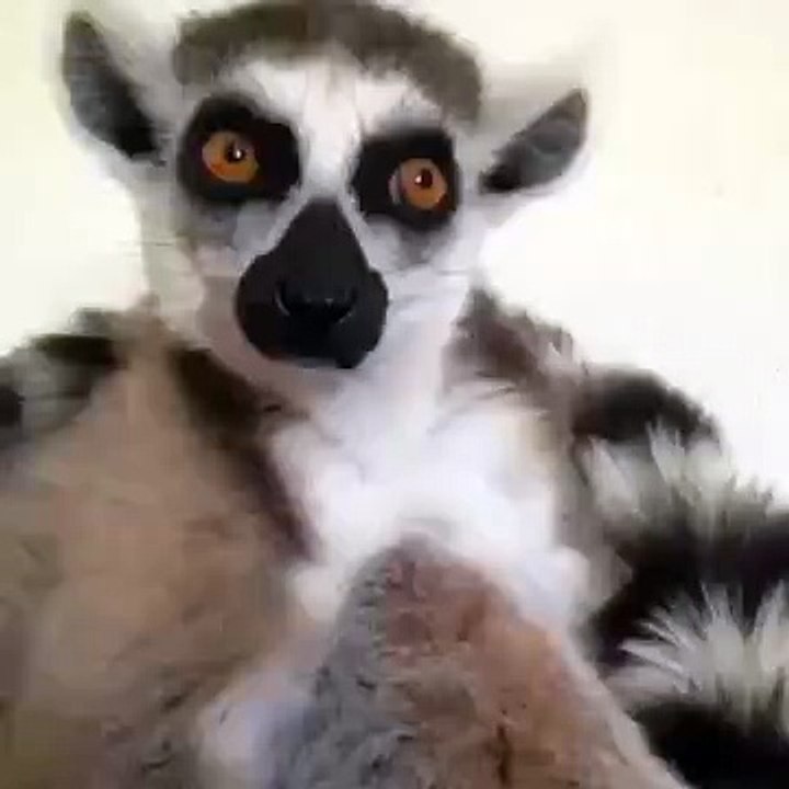Утро понедельника на работе!))) УЗНАЮ СЕБЯ))) СМОТРЕТЬ ВСЕМ