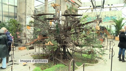 Pas d'arbre aux hérons