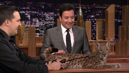 Jeff Musial Creeps Jimmy Out with Mexican Tarantulas
