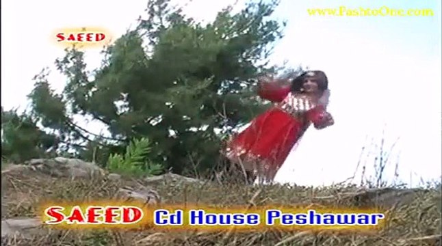 Baran De Ali Jamal Irum Shahzadi Pashto New Song Album 2016 Sheen Mangy Pa Sar Mazeegar De