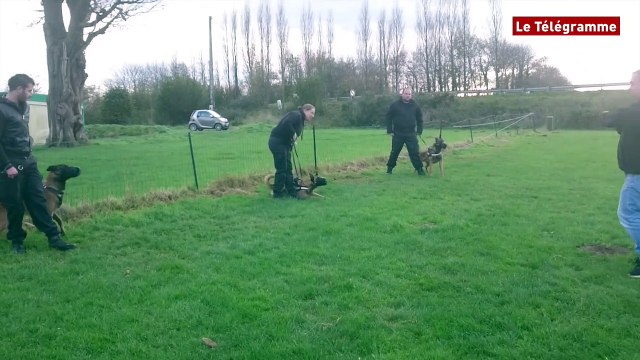 Guingamp. EAG : ces chiens qui assurent la sécurité du Roudourou