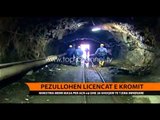 Pezullohen licencat e kromit - Top Channel Albania - News - Lajme