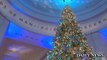 Staten Island Mall Restores Tree Lighting After Facebook Protest