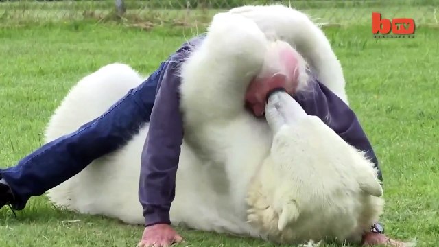 ВОТ ТАКАЯ ДРУЖБА