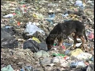 Sharra, mbetjet që helmojnë gjithë Tiranën - Top Channel Albania - News - Lajme