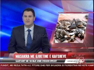 News Edition in Albanian Language - 3 Dhjetor 2013 - 19.00 - News, Lajme - Vizion Plus